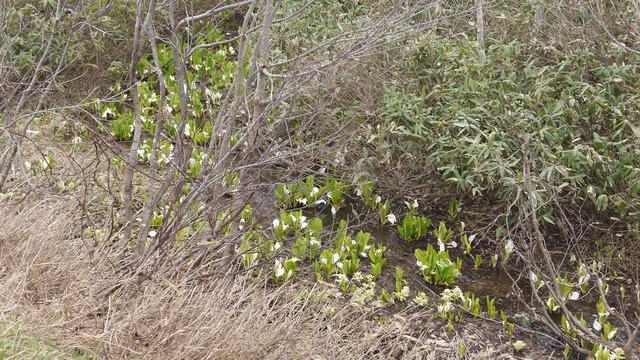 P1060785