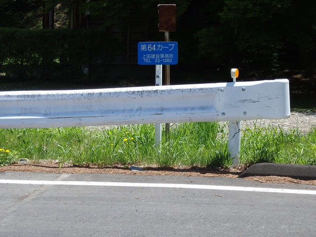 P5200839