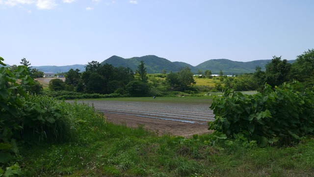 P1060956