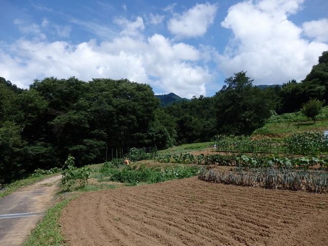 P7230164