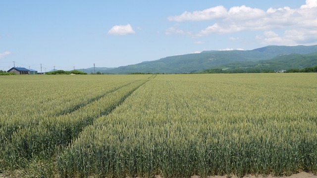 P1050794