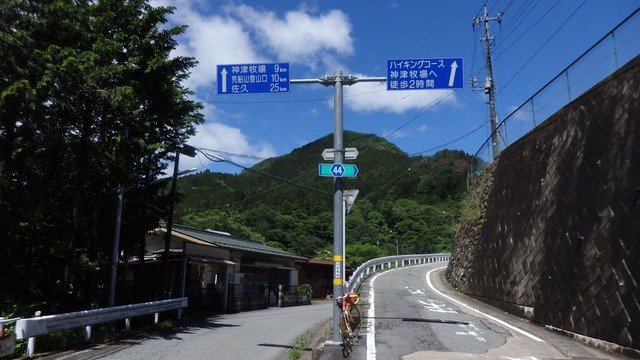 P6160031