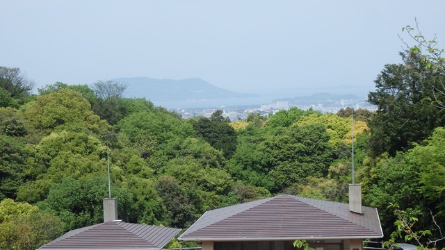 P5020038