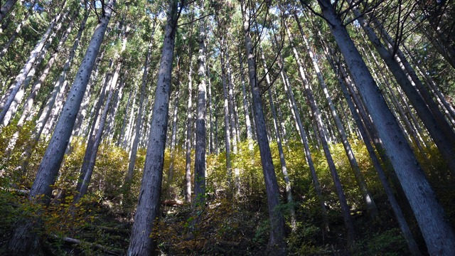 P1080067