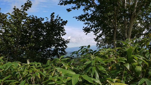 P1060037