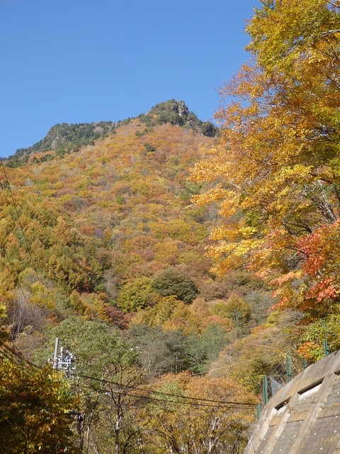 PA300286