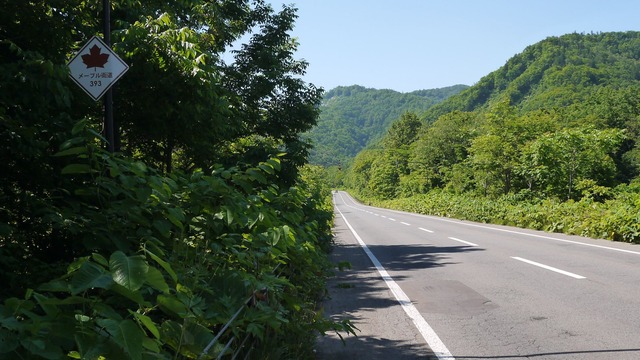 P1050726