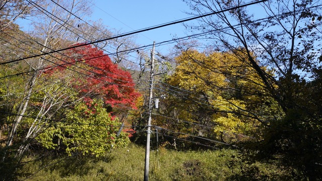 P1080135