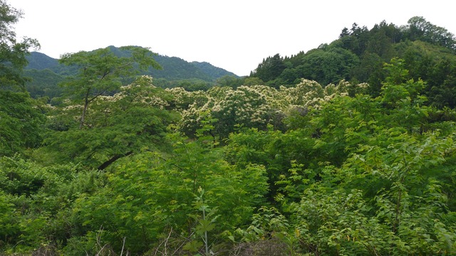 P1080779