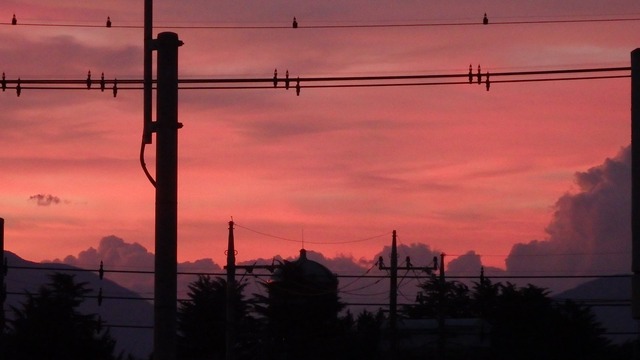 P7220051