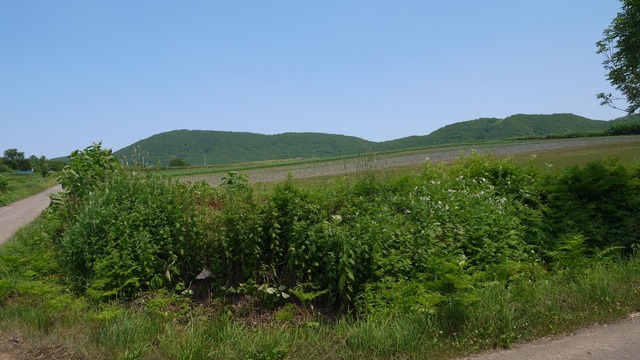 P1060954