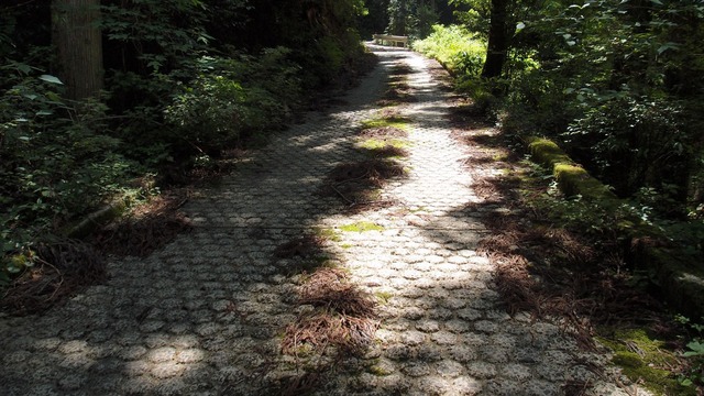 P6040631