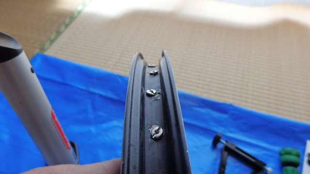 P5050003