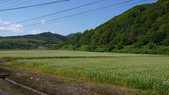 P1070085