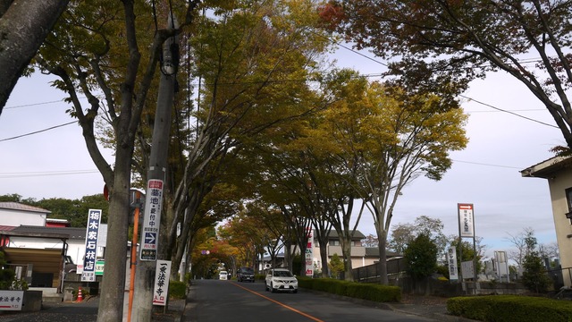 P1070866
