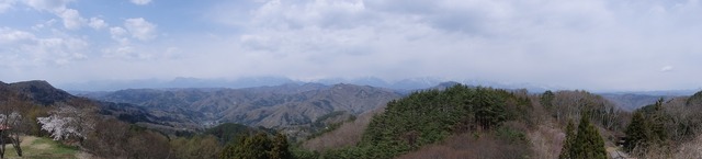 P4290600