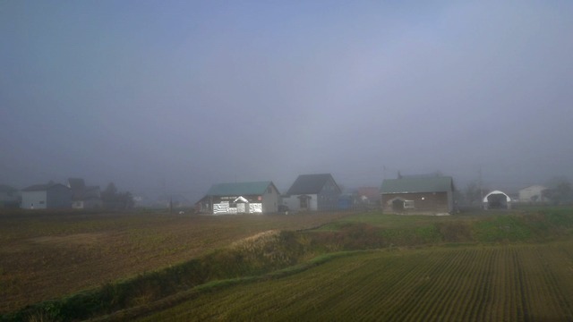 P1060341
