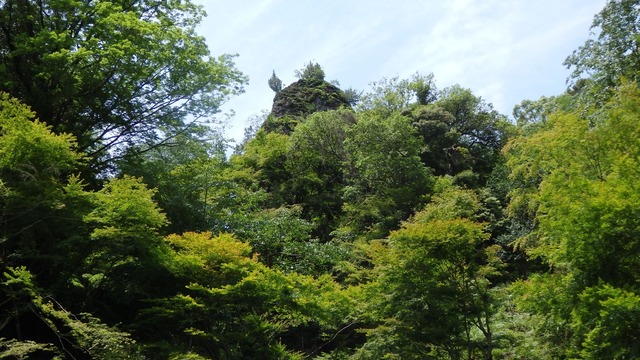 P6200078