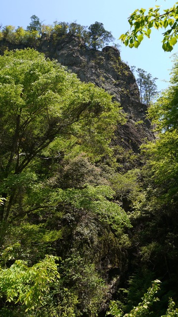 P1080564