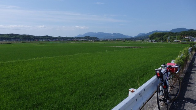 P6200167