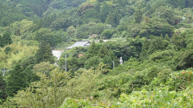 P6280071