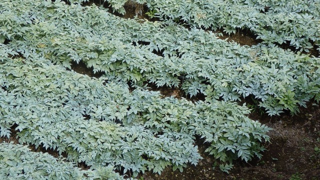P9280041