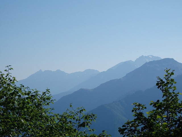 P7080904