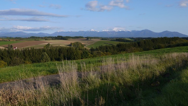 P1060512
