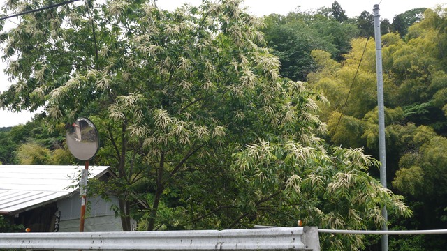 P1080804