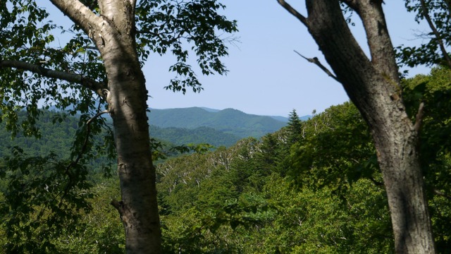 P1070002