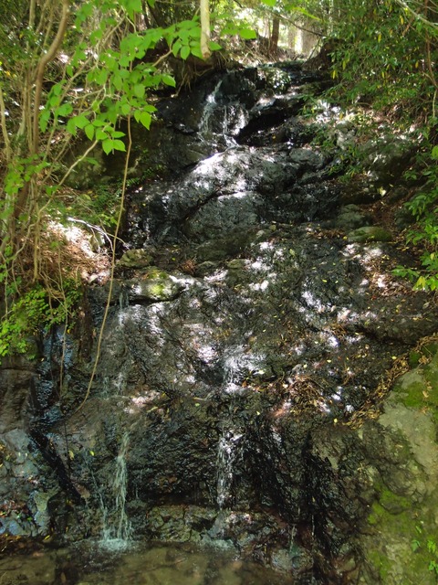P6040650