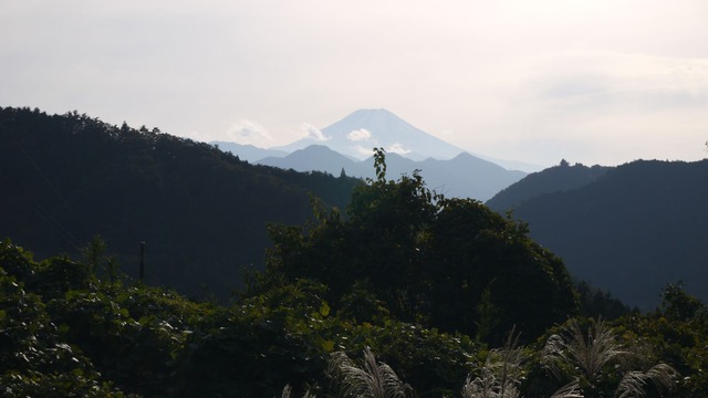 P1070951