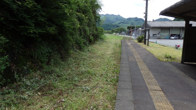 P6200067