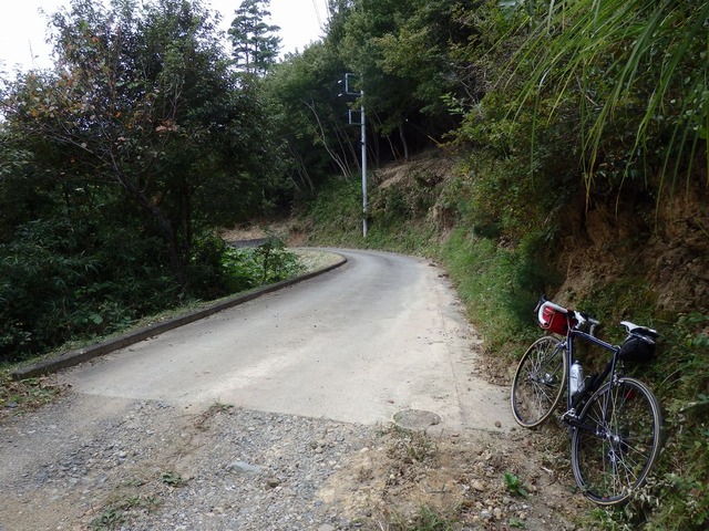 PA100062