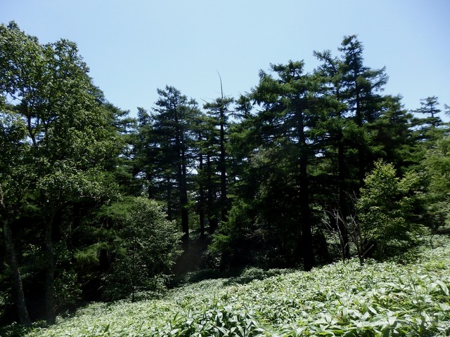 P8060393
