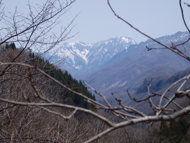 P4160049