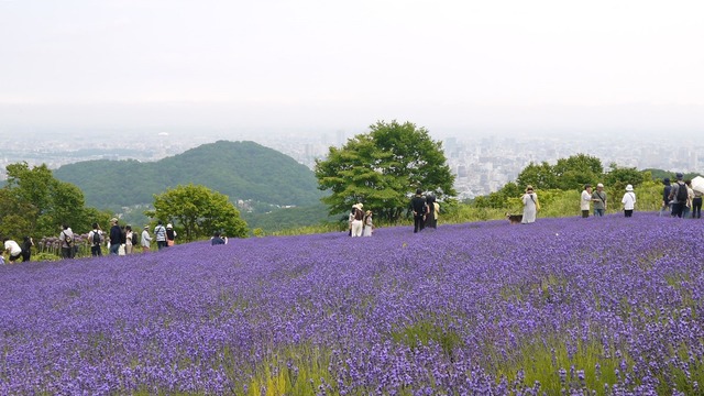 P1050905