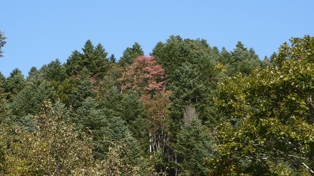 P1060356