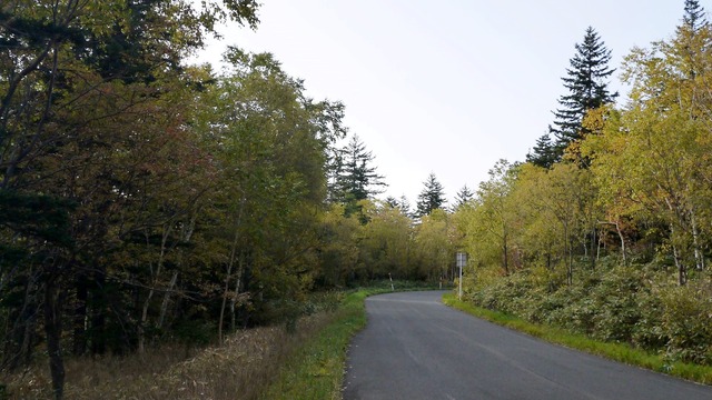 P1060469