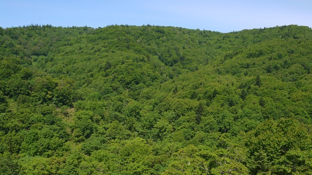 P1050733