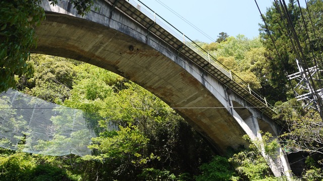 P1080622