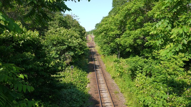 P1070010