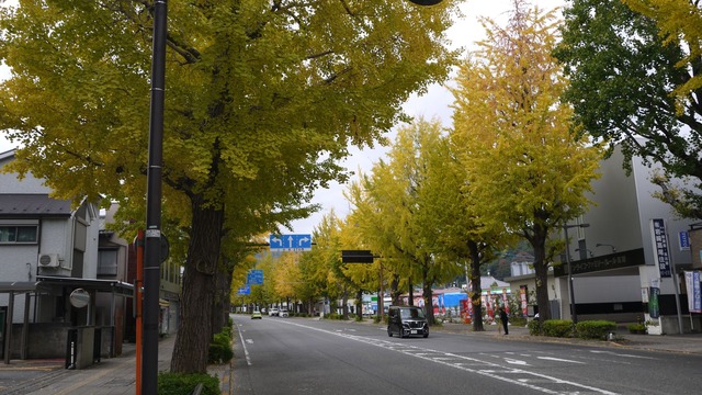 P1070964
