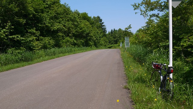 P1060939