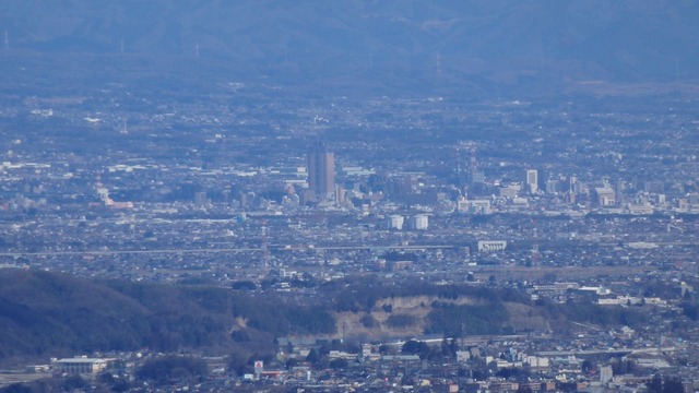 P2010049