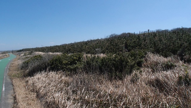 P3060332