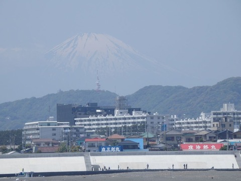 P5010047