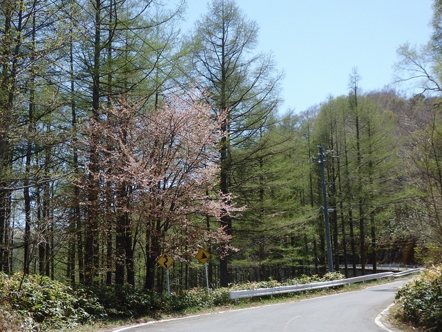 P5200883
