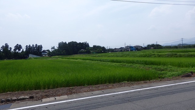 P7210081