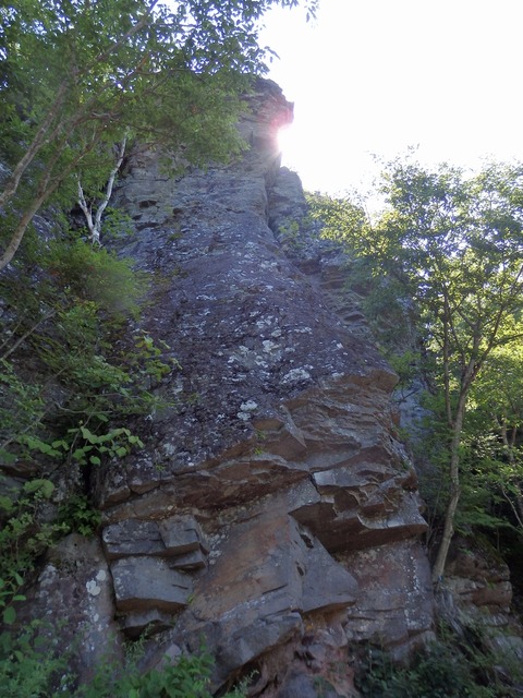 P8060391